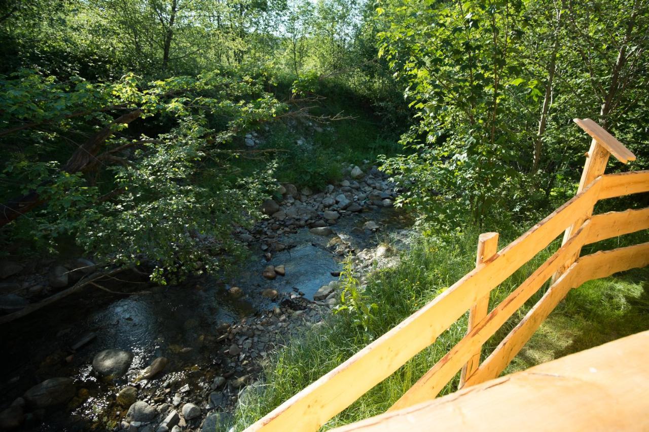 Zakopianskie Domki Przy Potoku Zakopane Exteriör bild